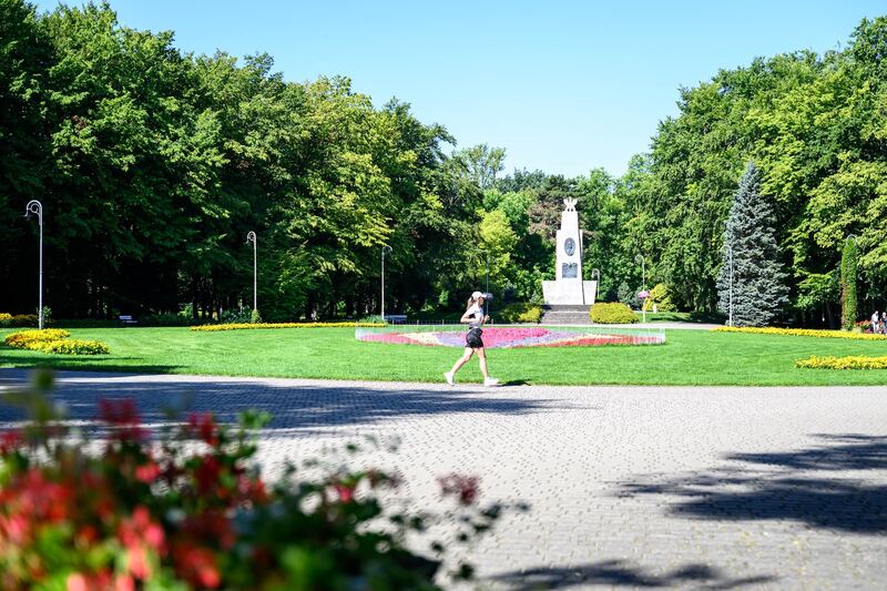Kwietniki i alejki w miejskim parku