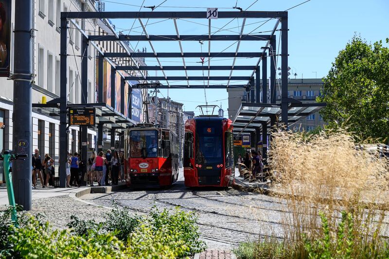 Czerwone tramwaje na przystanku w centrum